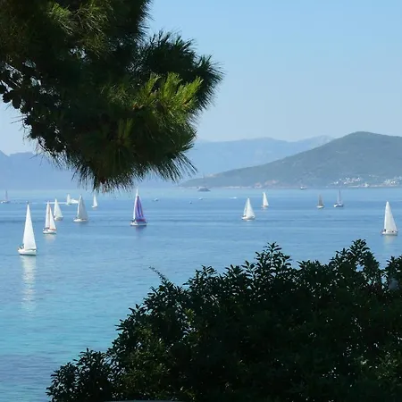 Danae Aegina